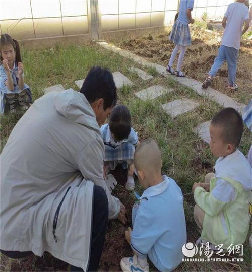 芒种至仲夏始 播种收获同在 灞桥区第八幼儿园芒种体验活动