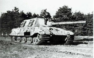 虎王 重型坦克的坦克歼击车 