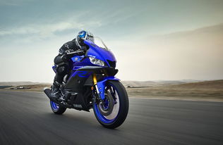 年少不可欺 2019 YAMAHA YZF R3