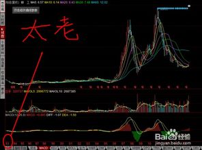 2009年目前最值得投资的股票是那些股票