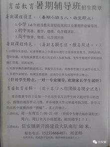 中考语文线上教学计划范文_小学二年级语文课文教学怎样安排合适？