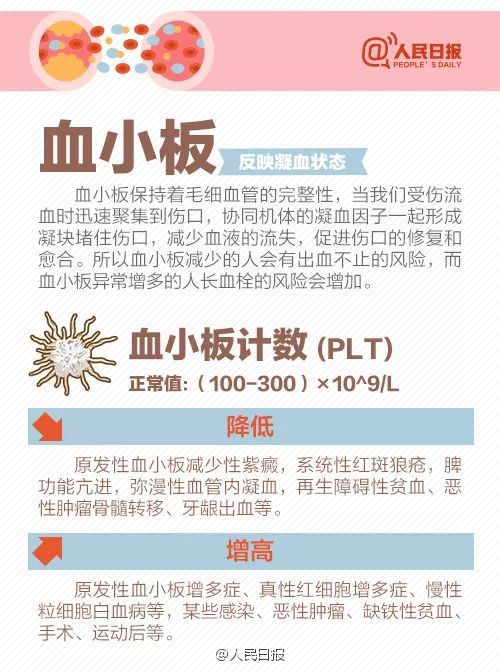 实用 9图教你看懂血常规化验单 