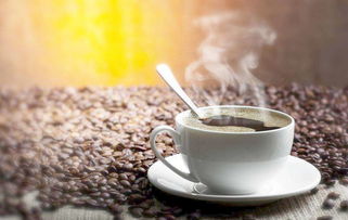 什么咖啡提神效果最好,咖啡为什么可以提神？