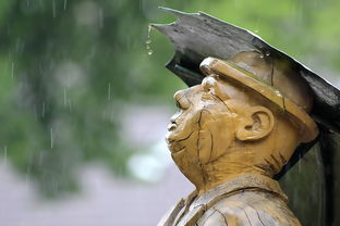 觉雨的深意，一场雨中的心灵洗礼，觉雨是什么意思