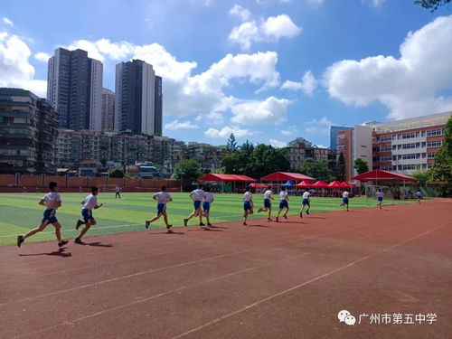 广州从化区自考考场有哪些,广州各区自学考试考点