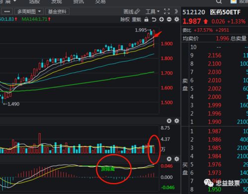 创业板b股票8月25日对折是什么意思