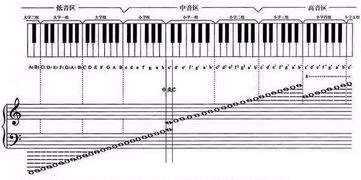 乐音体系中的音是如何分组的,以钢琴88个为例,各组音名怎样标记 