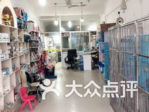 上海浦东新区宠物店 上海浦东新区宠物店宠物 