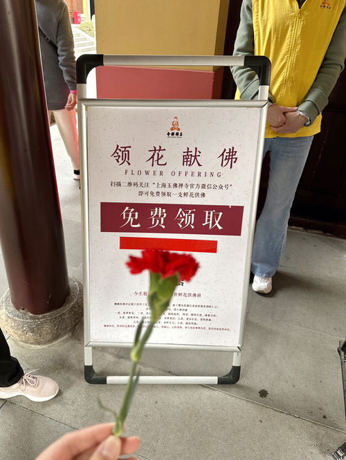 上海旅游 一定要来香火最旺的玉佛寺祈福 