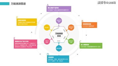 漯河工学院双汇学院市场营销本科专业学生赴双汇集团开展专业实训-JN SPORTS(图3)