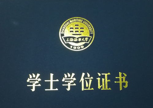 上海交通大学提前批专业有哪些