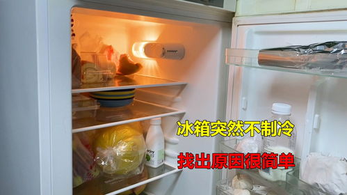 冰箱不制冷有哪些原因 冰箱突然不制冷是怎么回事