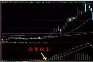 请问高手们,股票MACD里的DIFF,MACD(12,26,9),DEA,绿柱红柱分别是什么意思