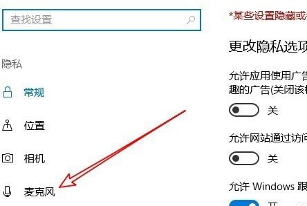 win10程序麦克风权限设置在哪里设置