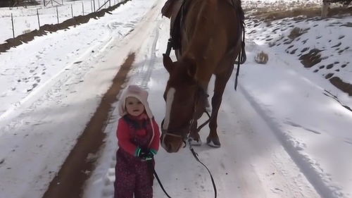 3岁小女孩牵着马在雪地上走,下一秒马的举动,让众人尖叫 