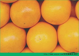 橙子和柚子哪个营养高,请问柚子和橙子相比那个营养价值更高？