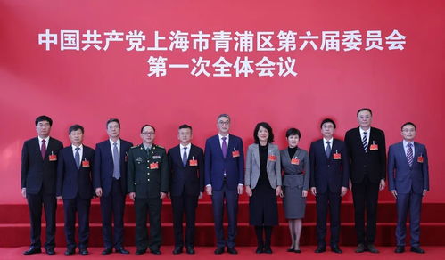 上海青浦第六届委员会第一次全体会议举行 央广网 