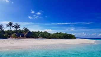 马尔代夫选岛器哪些岛屿更大（马尔代夫买岛多少钱）