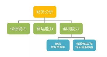 财务分析中的roa, roe, roi, ros有什么区别