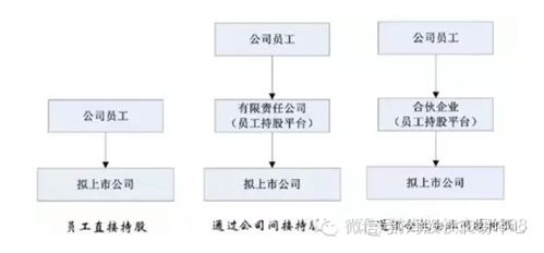 员工持股平台是否能认定为股权激励