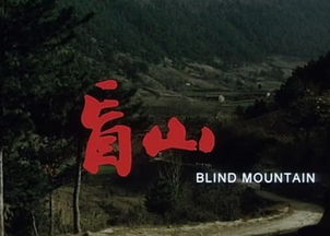 电影盲山是真实的故事吗,盲山电影完整版免费看