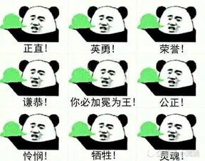 绿色表情包,天冷了给他戴个帽子吧,是我让你自由过了头 