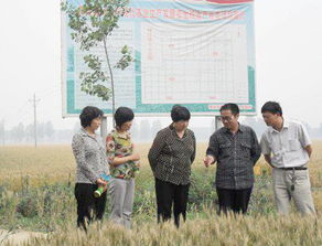 九三学社漯河市委深入推进同心 粮食高产开发基地建设