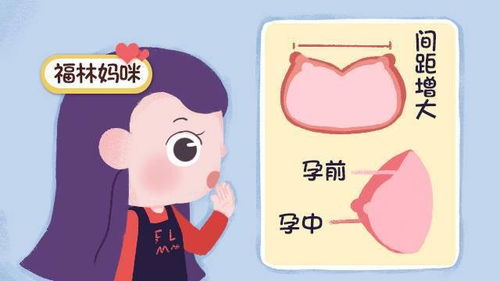 孕期及哺乳期,如何挑选内衣 想要不闷不勒还得这样选