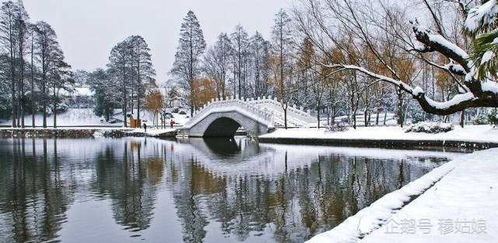 你听过哪些有关雪的歌曲 在下雪天,你又会想起谁呢