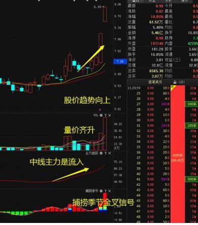 炒股必须跟庄，庄到底是什么？