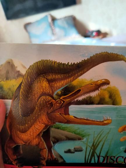 这是什么恐龙 