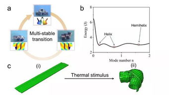 美国成功研发形态可控的三稳态形态转变双层复合材料
