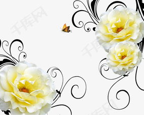 白黄相间玫瑰花素材图片免费下载 高清装饰图案png 千库网 图片编号5071761 