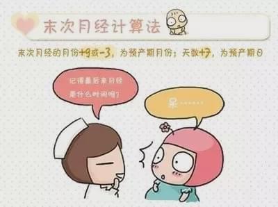 做试管婴儿怀孕后,该如何推算末次月经及预产期