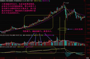 想知道后期股市前景怎么样，可以说说看吗？