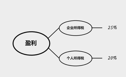 我是一个什么事都不做就有股权的小股东，请问我去公司有发言权吗?