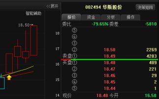 明天华斯股份会涨吗