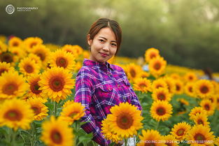 向日葵般的少女