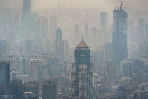 城市生活压力大，为什么很多人还选择留在大城市为了梦想还是生存，还是别的东西