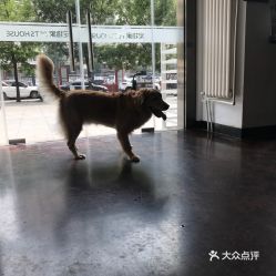 电话 地址 价格 营业时间 青年路宠物店团购 北京宠物 