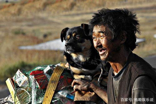 1993年谢晋电影 老人与狗 ,演员杀人喂狗吃肉,拍完人狗落网