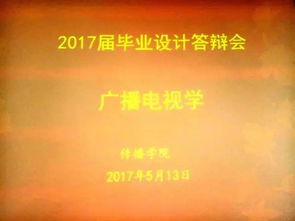 2017本科毕业传播学论文