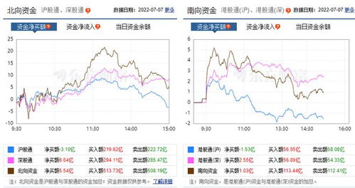 今日个股查询