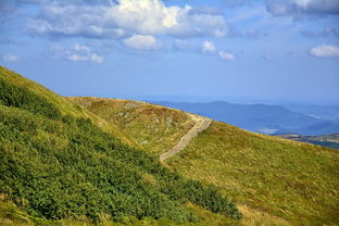 什么五松山，五松山在哪