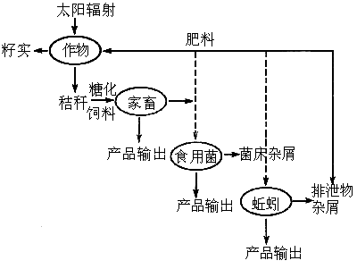 从能量流动的角度分析，人类食用蔬菜和肉食过程中哪一种食物能量相对损失较少，为什么一斤肉比一斤蔬菜贵