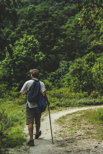 探索未知的旅行，什么的旅行作文500字植物或动物