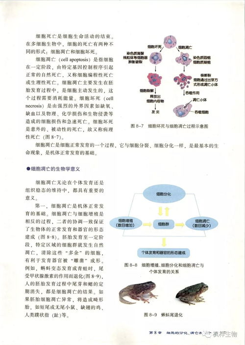 新高一生物必修一知识点总结 高中必修一生物知识点归纳有哪些