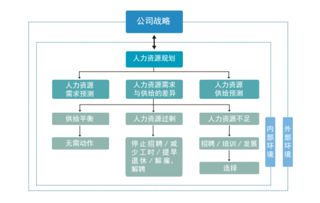 组织结构设计，简述组织机构的特征有哪些