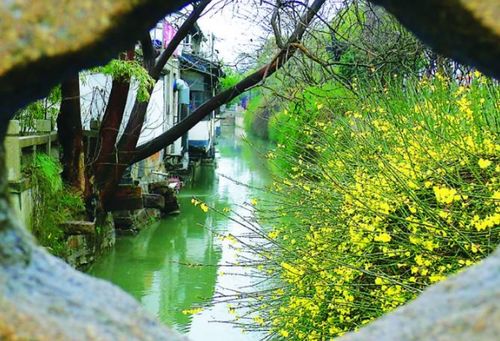 节气俗语说, 春分阴雨天,春季雨不歇 ,你知道是什么意思吗