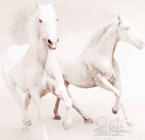 梦见两匹白马 周公解梦之梦到两匹白马